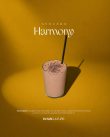 Avacado Harmony